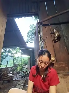 Jinli 01 online show from 07/24/26, 11:52