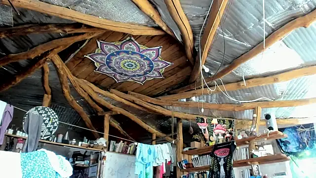 wildforestmuse  online show from 07/19/26, 08:29
