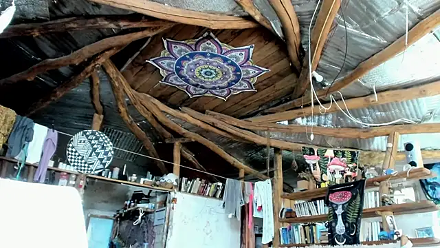 wildforestmuse  online show from 07/26/26, 06:32
