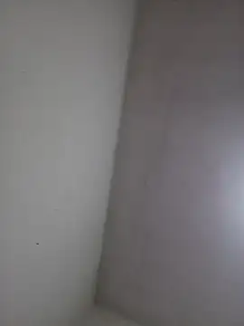 wbrankinha online show from 06/03/26, 02:33