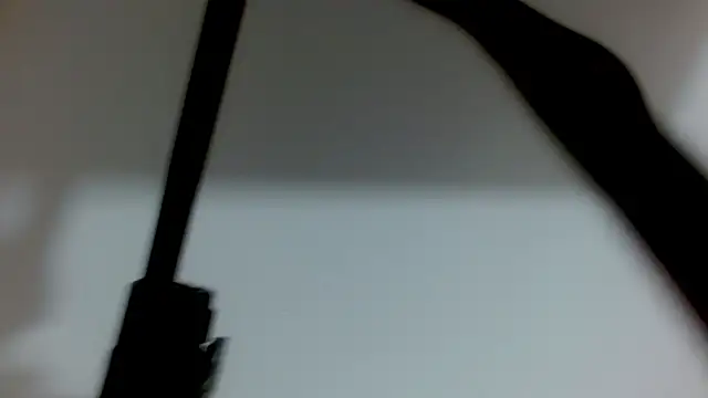 Snapshot of luna_bella160920 chatting on 06/03/26, 01:03 luna bella160920 online show from 06/03/26, 01:03