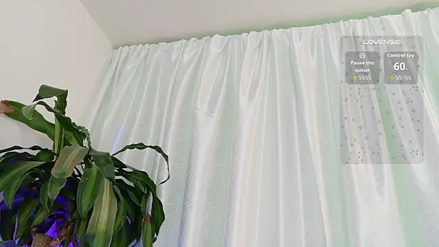 cata cat online show from 06/24/26, 02:16
