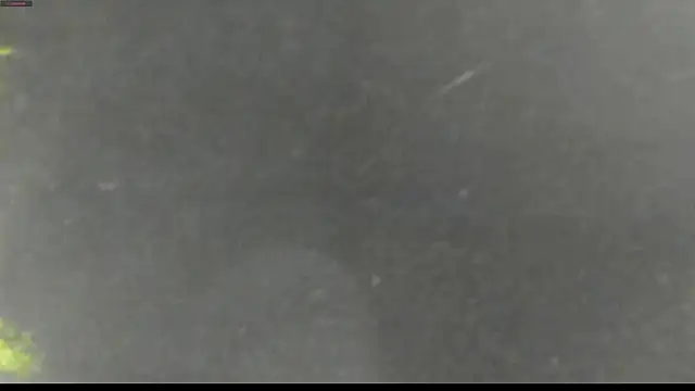 Snapshot of justin_lenox chatting on 06/01/26, 12:01 justin lenox online show from 06/01/26, 12:01