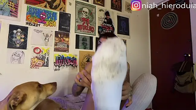 niah 11 online show from 07/15/26, 03:50