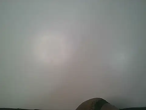 Lanita Lata online show from 07/24/26, 11:41