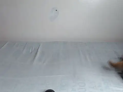 fabbie01  online show from 07/14/26, 02:16