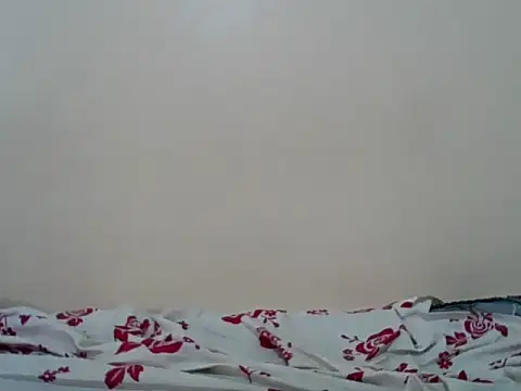 Snapshot of Hornysmoker20 chatting on 07/07/26, 06:47 Hornysmoker20 online show from 07/07/26, 06:47