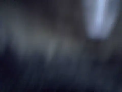 cutiebreey online show from 06/23/26, 12:52