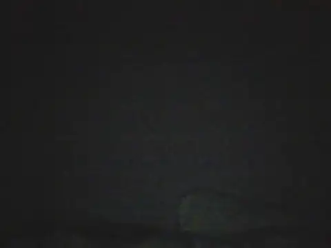 xoxobarbie2 online show from 05/16/26, 10:41