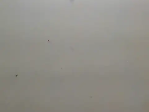 Diana Penty online show from 06/15/26, 07:49