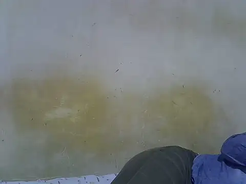 pretty sunshine online show from 07/15/26, 04:34