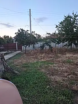 Diana Diafan online show from 07/25/26, 05:54