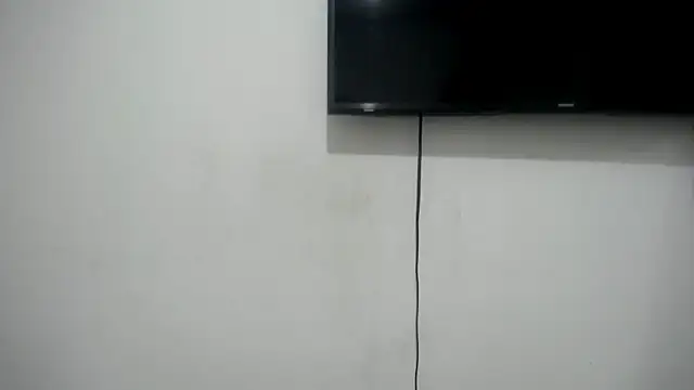 Fox Loves online show from 06/26/26, 11:20