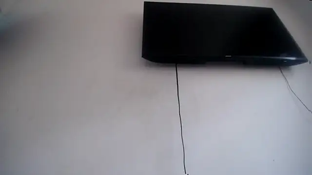 Fox Loves online show from 07/17/26, 09:08