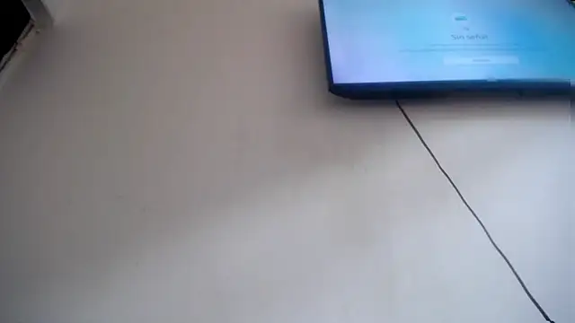 Fox Loves online show from 07/19/26, 08:23