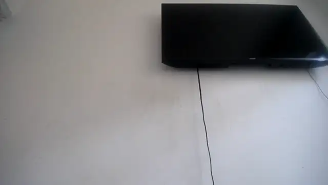 Fox Loves online show from 07/25/26, 08:28