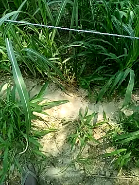 kajal9742 online show from 06/04/26, 05:46