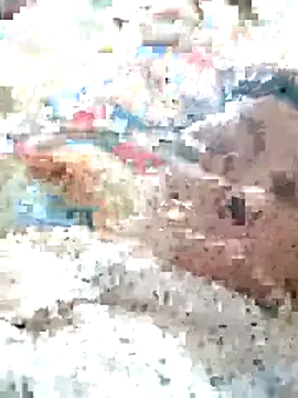 Snapshot of Orio-baby chatting on 05/31/26, 08:10 Orio-baby online show from 05/31/26, 08:10