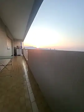 panda 06200 online show from 07/30/26, 04:33