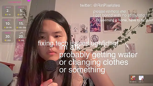 Rinpixel online show from 06/21/26, 04:15