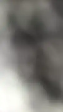 languste25 online show from 07/09/26, 12:09