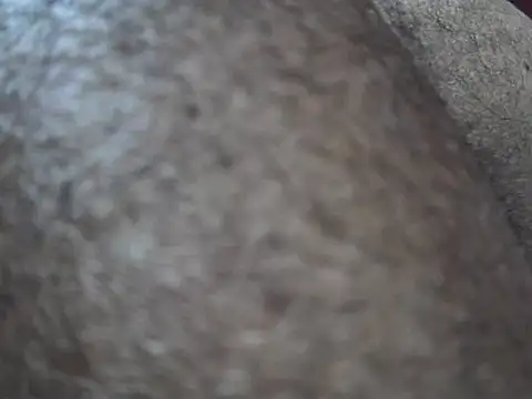 Snapshot of indiboy009 chatting on 03/14/25, 10:49 indiboy009 online show from 03/14/25, 10:49