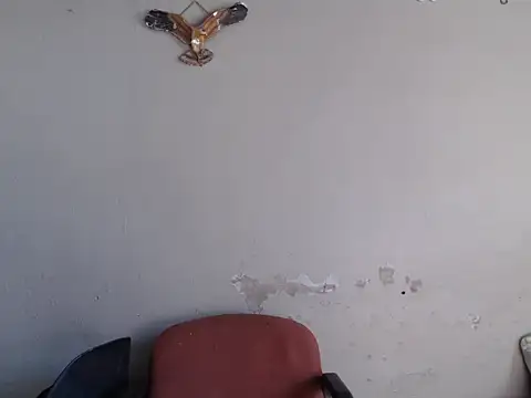 Frank X Husle online show from 06/08/26, 10:37