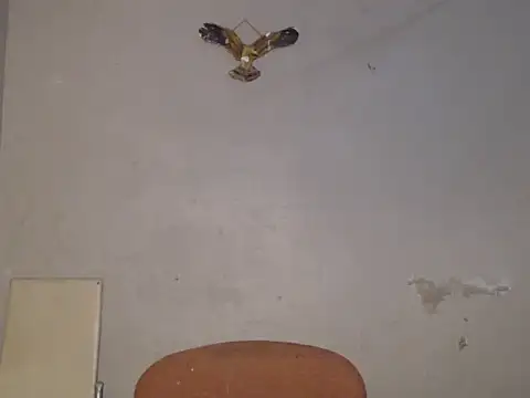 Frank X Husle online show from 07/09/26, 06:56