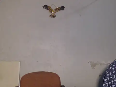 Frank X Husle online show from 07/13/26, 09:50