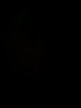 Snapshot of hook9sex chatting on 06/11/26, 04:54 hook9sex online show from 06/11/26, 04:54