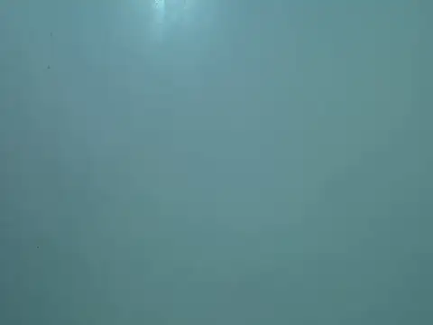 slimgirl2544 online show from 07/09/26, 11:36