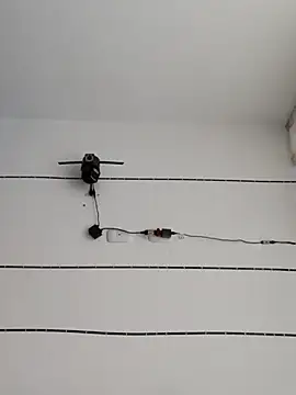 candylatina21 online show from 06/26/26, 08:24