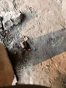 lambakooli online show from 06/13/26, 12:41