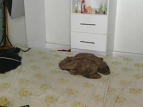 SexyLi  online show from 07/30/26, 02:21