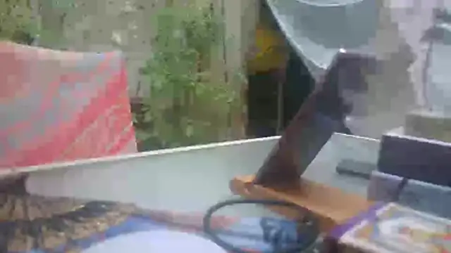 mad2moi online show from 07/15/26, 02:22