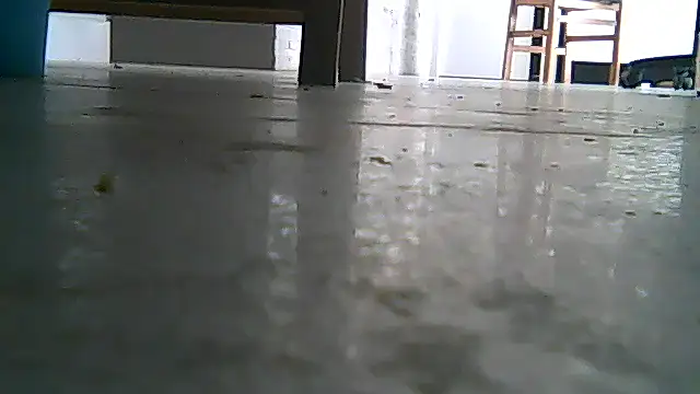 SirFrankonde online show from 08/01/26, 12:48