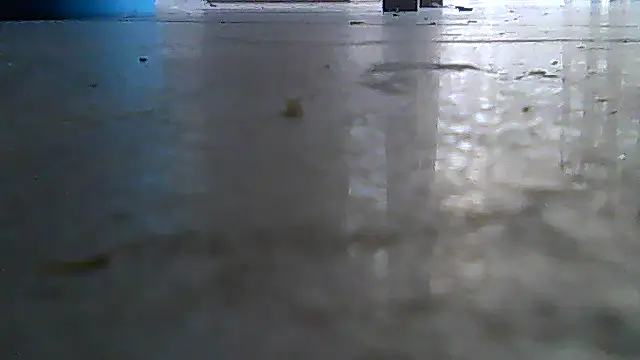SirFrankonde online show from 08/02/26, 12:58