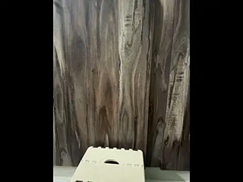 Snapshot of SatBull007 chatting on 11/23/25, 07:52 SatBull007 online show from 11/23/25, 07:52