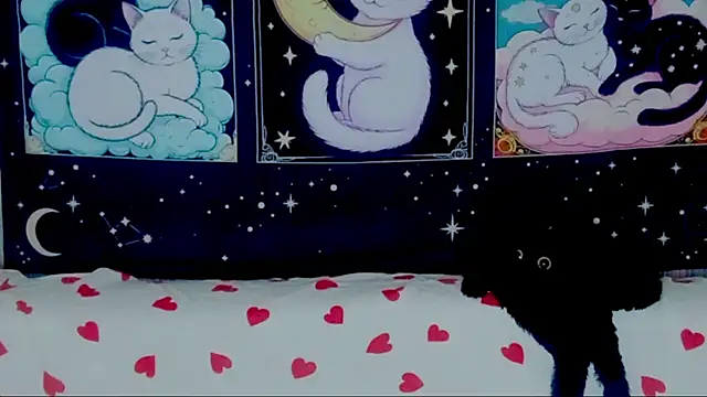 lotus flowerr online show from 08/05/26, 03:42