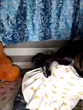 pinki-rani1 online show from 07/07/26, 05:17