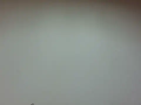 LiaBellini online show from 07/28/26, 06:53
