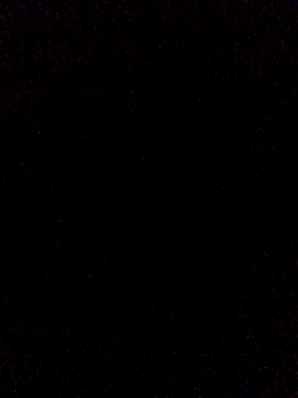 vergonpiton online show from 07/14/26, 10:37