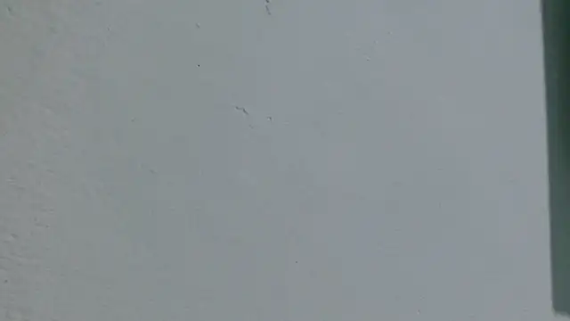rabbitplayboy19 online show from 07/25/26, 06:44