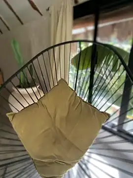 Blaackcat online show from 11/25/25, 08:20