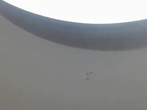 Sexyangel22  online show from 08/06/26, 08:11