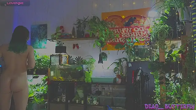 Dead Butterfly online show from 01/12/25, 03:28