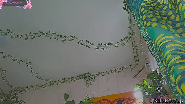 Dead Butterfly online show from 09/24/25, 03:32