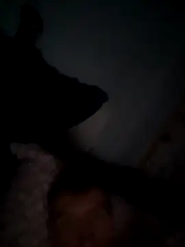 SexyMan2020ka online show from 10/09/25, 04:43