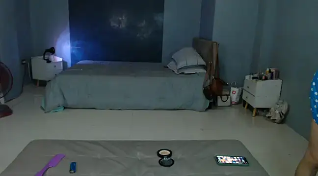 Snapshot of _FoxyFlair chatting on 02/28/25, 08:50 FoxyFlair online show from 02/28/25, 08:50