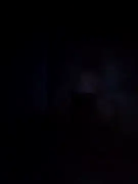 Biknight online show from 12/12/24, 04:04